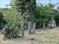 Old Jewish cemetery in Vukovar - Slavonia, Croatia / Staro ÃÂ¾idovsko groblje u Vukovaru - Slavonija, Hrvatska