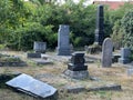Old Jewish cemetery in Vukovar - Slavonia, Croatia / Staro ÃÂ¾idovsko groblje u Vukovaru - Slavonija, Hrvatska