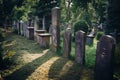 Historic Old Jewish cemetery in Wroclaw, Poland. Background for halloween design and text