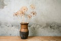 Old jug with dry flower Royalty Free Stock Photo