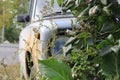 Old junky rusty abandoned car sitting in the bush