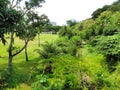 Old Jurong railway green corridor Royalty Free Stock Photo