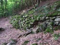 Old keltic historic wall in the bavarian forest Royalty Free Stock Photo