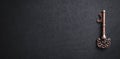 Old key on black background. Business, Success Royalty Free Stock Photo