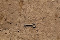 old key on dry dirt ground surface under direct sunlight