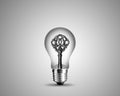 Old key in light bulb Royalty Free Stock Photo