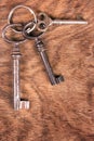 Old keys Royalty Free Stock Photo