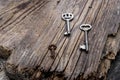 Old keys of different sizes on rustic weathered wood planks Royalty Free Stock Photo