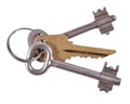 Old keys on a white Royalty Free Stock Photo