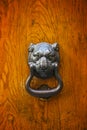 Lion door knocker on old wooden door Royalty Free Stock Photo