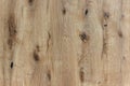 Old knotty wood texture