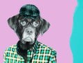 Old labrador dog retriever wearing eye glasses, wearing a vintage pageboy cap. Contemporary art collage