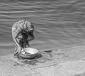 Old lady covered on the side of the river washing dishes