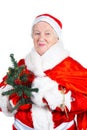 Old Lady- Santa Royalty Free Stock Photo