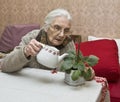 Old lady watering flower Royalty Free Stock Photo