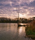 Old lake in Rusovce village park in autumn