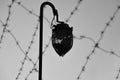 Old lamp and barbed wire Royalty Free Stock Photo