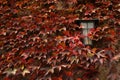 old lamp surrounded by red leaves during autumn season at Novacella Abbey near Bolzano, Italy.