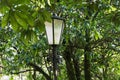 Old lantern in a cozy summer Park.