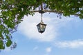 Old lantern on the tree. Green natural arch with old metal street lamp. Retro fashioned lamp in park. Outdoor illumination concept Royalty Free Stock Photo