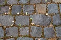 Old large gray paving stones, on the road, as a background image for your design Royalty Free Stock Photo