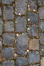 Old large gray paving stones, on the road, as a background image for your design or illustrations Royalty Free Stock Photo