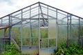 Old large greenhouse for agricultural cultivation, now out of use with some broken glass panes and overgrown with weed. Royalty Free Stock Photo