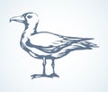 Vulture. Vector drawing icon sign Royalty Free Stock Photo