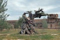 Old large olive tree trunk in the field Royalty Free Stock Photo