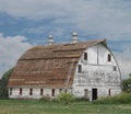 Old large white wooden barn with curved roof.