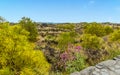 An old lava flow is just visible under the abundant new vegetation on Mount Etna, Sicily Royalty Free Stock Photo