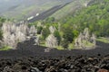 Old lava flow, on the slopes of the volcano Etna,