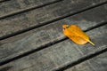 Old leaf on wooden
