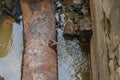 Old leaky pipes in the pit. Preparation for pipe replacement Royalty Free Stock Photo