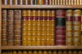 Old leather-bound books on the shelf Royalty Free Stock Photo