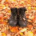 Old leather hiking boots on fall leaves background Royalty Free Stock Photo