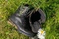 Old leather Hiking boots in the green grass. Summer is a time of travel. Close up Royalty Free Stock Photo