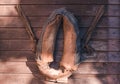 Old leather horse yoke hangin on wooden wall