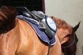 Old leather saddle with stirrups for show jumping race