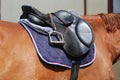 Old leather saddle with stirrups for show jumping race Royalty Free Stock Photo