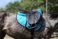 Old leather saddle with stirrups for show jumping race Royalty Free Stock Photo