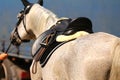 Old leather saddle with stirrups for show jumping race