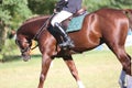 Old leather saddle with stirrups for show jumping race Royalty Free Stock Photo