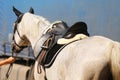 Old leather saddle with stirrups for show jumping race Royalty Free Stock Photo