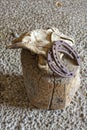 Old Leather Work gloves and Horse Shoes