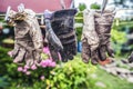 Old leather working gloves in the garden. Royalty Free Stock Photo