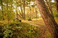 Old leaved bunker of the Russian army