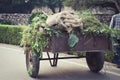 Old leaves and plant wastage on garbage disposal trolley