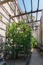 Old lemon house in Limone sul Garda, Italy. Royalty Free Stock Photo