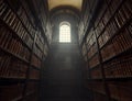 Old library interior Royalty Free Stock Photo